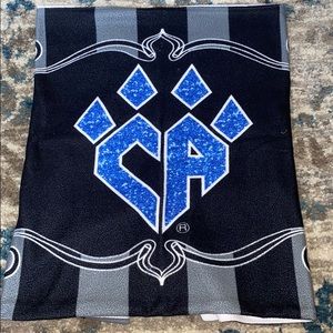 Cheer Athletics Pillow case